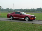 Mustang